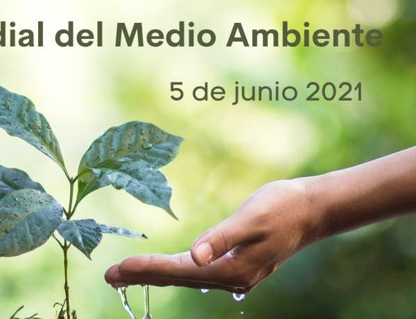 DÍA MUNDIAL DEL MEDIO AMBIENTE – 5 de Junio de 2021