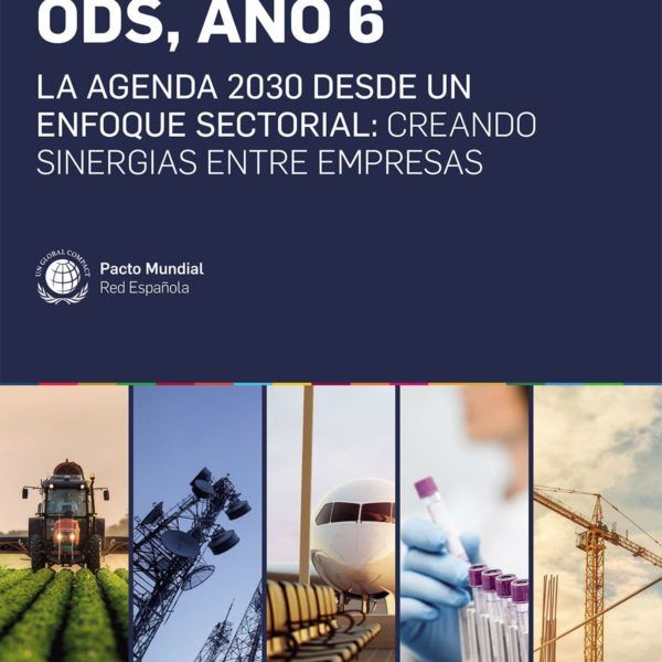 ODS Año 6, la Agenda 2030 desde un enfoque sectorial