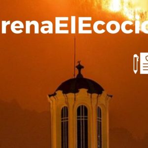 Frena el ecocidio