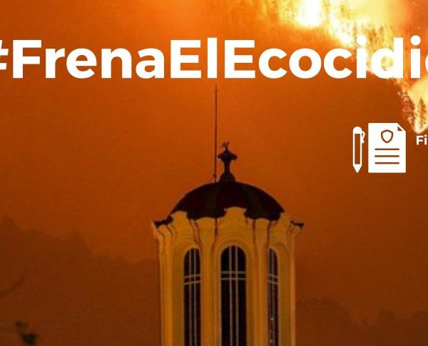 Frena el ecocidio